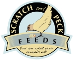 Scratch and Peck
